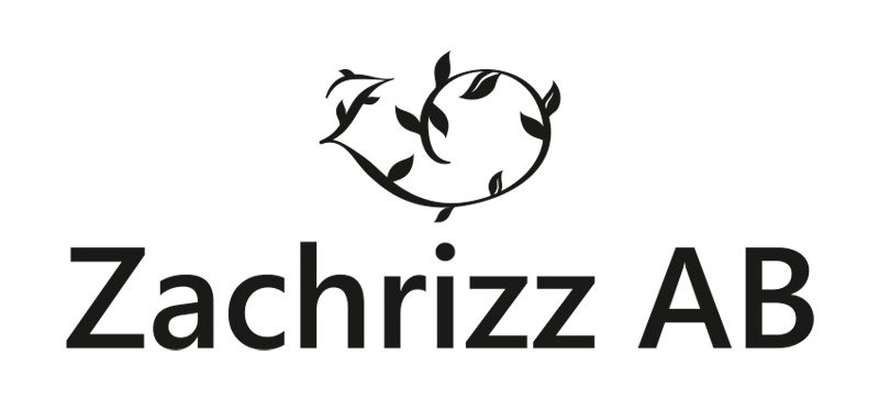 logo-zachrizz